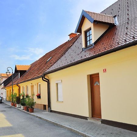 Apartment Gasa Brežice Værelse billede