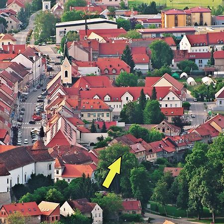 Apartment Gasa Brežice Eksteriør billede