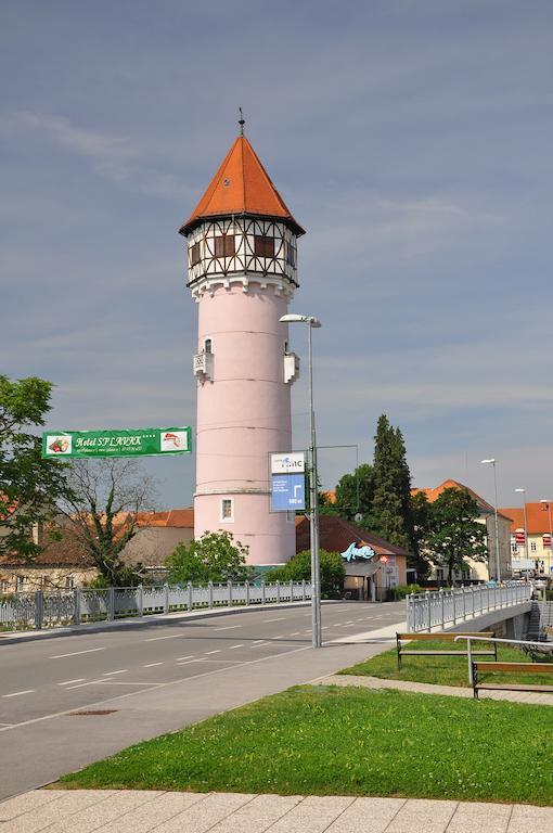Apartment Gasa Brežice Værelse billede